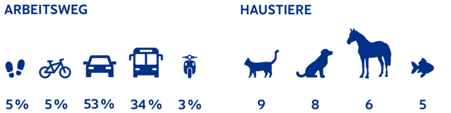 Infografik zur AIA-Teamstatistik über Arbeitswege und Haustiere. Arbeitsweg: 5% zu Fuß, 5% mit Fahrrad, 53% mit dem Auto, 34% mit dem ÖPNV und 3% sonstiges. Haustiere: 9 Katzen, 8 Hunde, 6 Pferde und 5 Fische